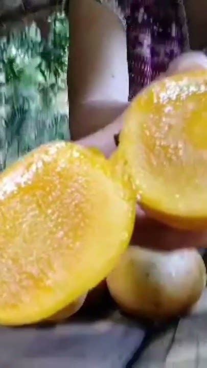 Yummy Mango 🥭🥭😋 Youtube