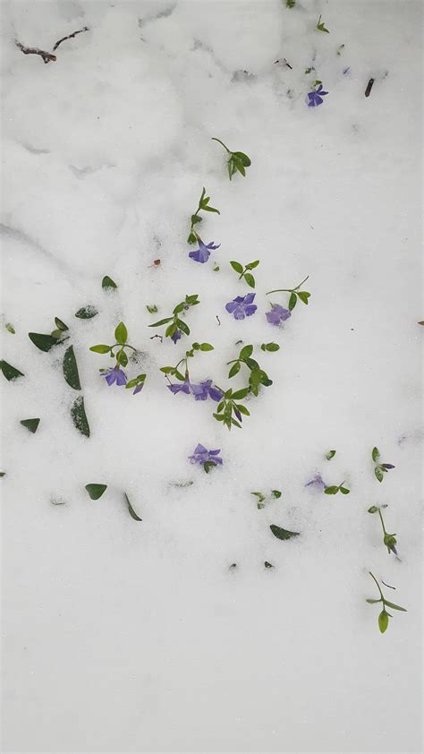 This describes DC weather : r/washingtondc