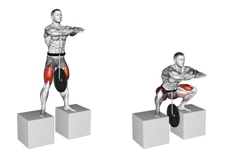 8 Best Types Of Squat Variations With Pictures Inspire Us