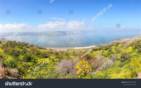 2,332 Israel kineret Stock Photos, Images & Photography | Shutterstock