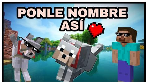 C Mo Ponerle Nombre A Tu Perro En Minecraft Pe F Cil Youtube