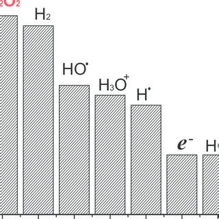 Products of water radiolysis after 10 −6 s of ion passage. Bar graph is ...