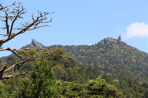 素晴らしき Mountain ＆ Flower By Yamatake 屋久島遠征④最終日は天柱石の太忠岳（鹿児島県）