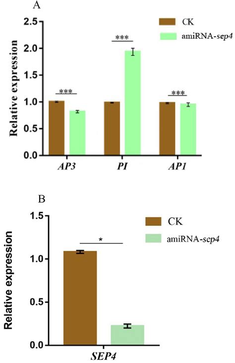 Qrt Pcr Analyses Of Amirna Sep4 Transgenic Arabidopsis Plants A