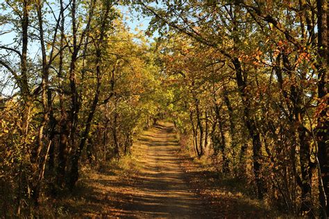 Balade Automnale Dans Les Bois Anthony Desruelles Flickr