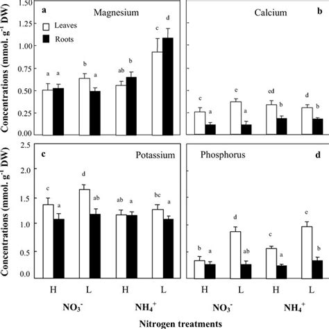 Effects Of N Source Nitrate Or Ammonium And Concentration L 05 Or Download Scientific