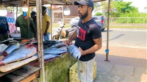 Amazing Kg Giant Yellowfin Tuna Cutting Skills By Master Fish Cutter