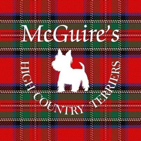 Mcguires High Country Terriers West Highland White Terrier Puppies