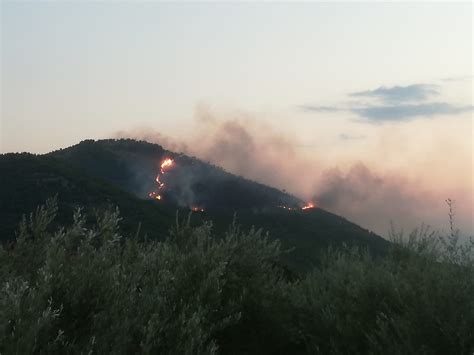 Incendi Boschivi Fiamme Tra Casalucense E Belmonte Castello