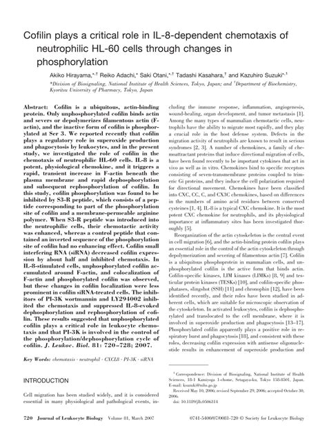 PDF Cofilin Plays A Critical Role In IL 8 Dependent Chemotaxis Of