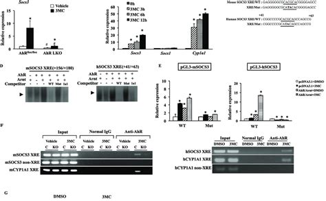 Socs3 Is A Novel Transcriptional Target Of AhR A QRT PCR Analysis Of