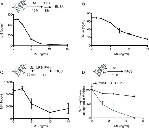 Mycolactone Suppresses The Production Of Pro Inflammatory Mediators By