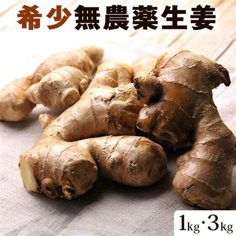 【楽天市場】無農薬 生姜 古根生姜 1kg 3kg 長崎県産 しょうが ショウガ 冷え性 冷え性対策 冷え 無農薬栽培 無化学肥料