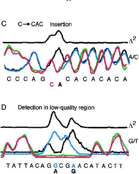 Figure 2 From Polymorphism Ratio Sequencing A New Approach For Single