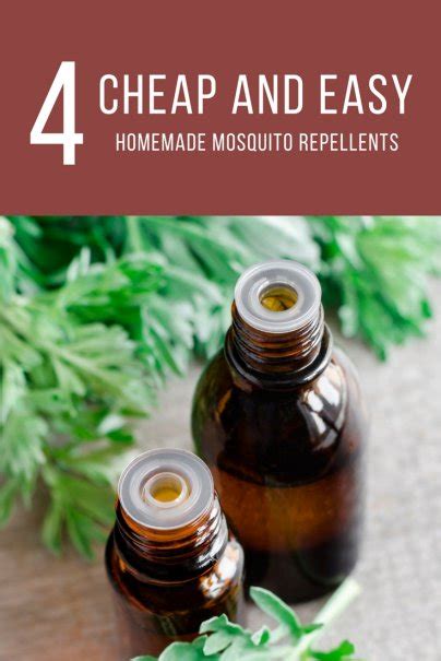 4 Cheap And Easy Homemade Mosquito Repellents