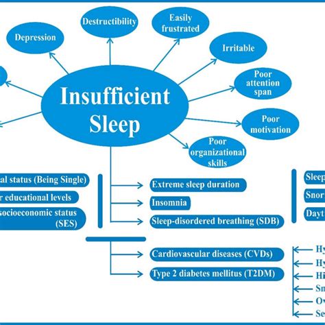 PDF The Global Problem Of Insufficient Sleep And Its Serious Public