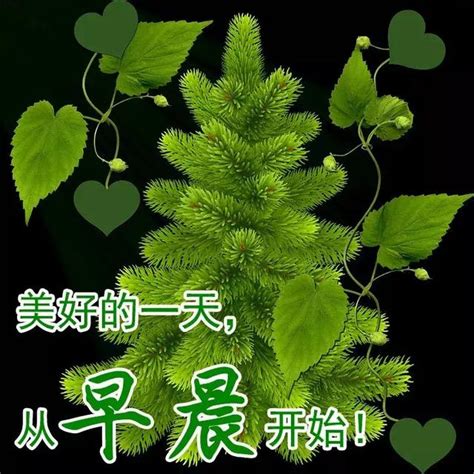 早晨問安：希望你的未來不是夢，是理想，早晨好！ 每日頭條