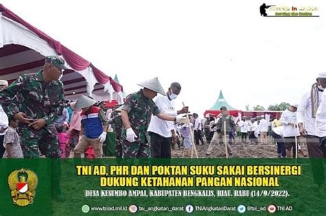 TNI AD PHR Dan Poktan Suku Sakai Bersinergi Dukung Ketahanan Pangan