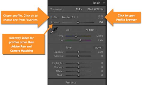 Lightroom Classic Profiles Basic Panel Laura Shoe S Lightroom