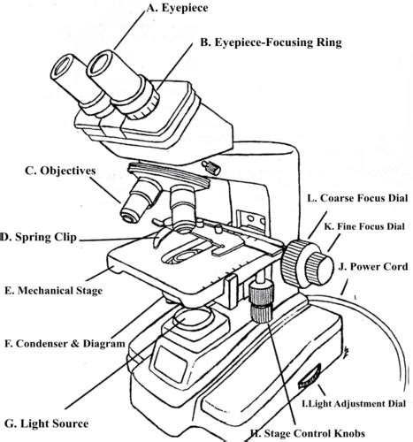 BISC 101 LAB Exam Part 1 Labs 1 5 Flashcards Quizlet