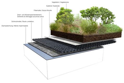 Buoni Motivi Per Realizzare Un Tetto Verde Blog Bollettino Ingegneri