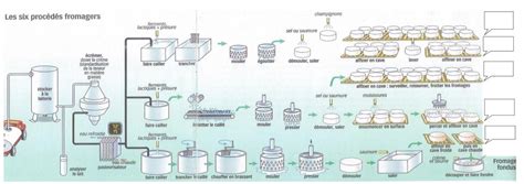 Questionnaire Le Fromage Dans Tous Ses Tats