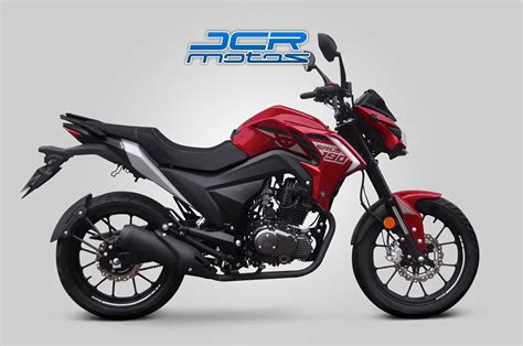 Skua Silver Edition Jcr Motos