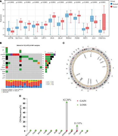 Transcriptional And Genetic Alterations Of 12 Crgs In Gbm A Download Scientific Diagram