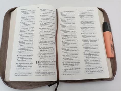 Biblia Nvi Tama O Manual Letra Grande Marr N Cierre Nvi