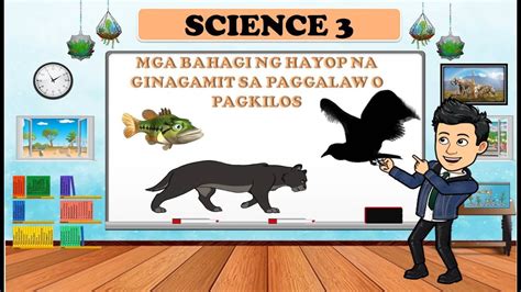 Mga Bahagi At Galaw Ng Mga Hayop Science Quarter Youtube