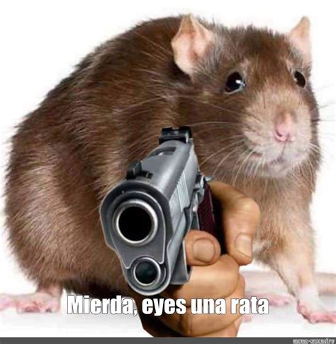 Meme Mierda Eyes Una Rata All Templates Meme