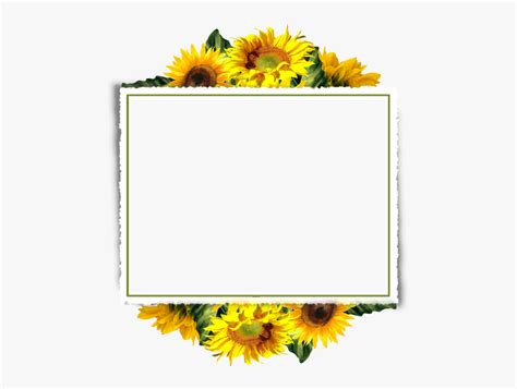 Sunflower Border Clipart , Free Transparent Clipart - ClipartKey