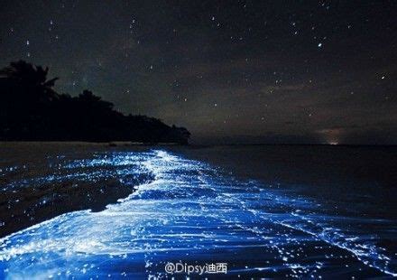 Vaadhoo Beach on the island of Maldives "blue tears" blue sands | Places to Visit | Pinterest ...