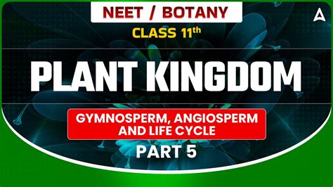 𝐏𝐋𝐀𝐍𝐓 𝐊𝐈𝐍𝐆𝐃𝐎𝐌 𝐂𝐋𝐀𝐒𝐒 𝟏𝟏 BOTANY GYMNOSPERM ANGIOSPERM AND LIFE CYCLE