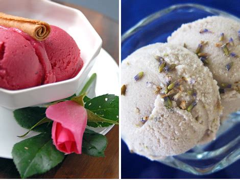 Helados Veganos T Cnicas Y Recetas Gastronom A Vegana