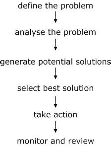 The Problem-Solving Process