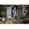 Ryobi Rbv Cesv Garden Vacuum And Leaf Blower Amazon Co Uk Garden