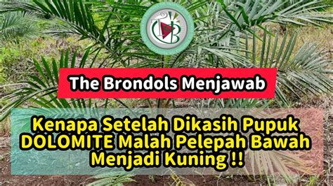 The Brondols Menjawab Kenapa Setelah Dikasih Pupuk Dolomite Malah