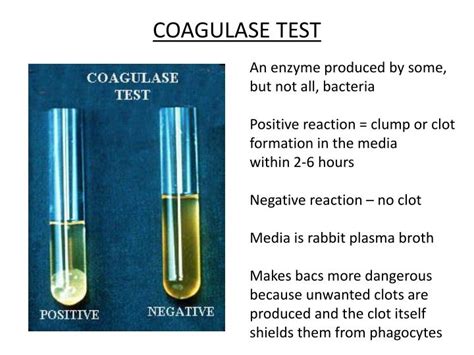 Ppt Microscopy Powerpoint Presentation Id2620783