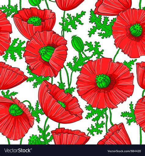 Poppies Royalty Free Vector Image Vectorstock