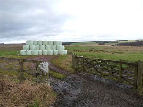 Silage Bales Near Gallows Hill Farm Oliver Dixon Cc By Sa