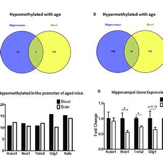 Differentially Methylated Regions DMRs Shared Between Blood And