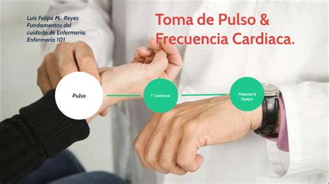 Toma De Pulso Y Frecuencia Cardiaca By Luis Felipe Martinez Reyes On Prezi