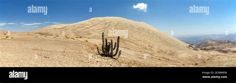 Duna De Arena Cerro Blanco Con Cactus Una De Las Dunas M S Altas Del