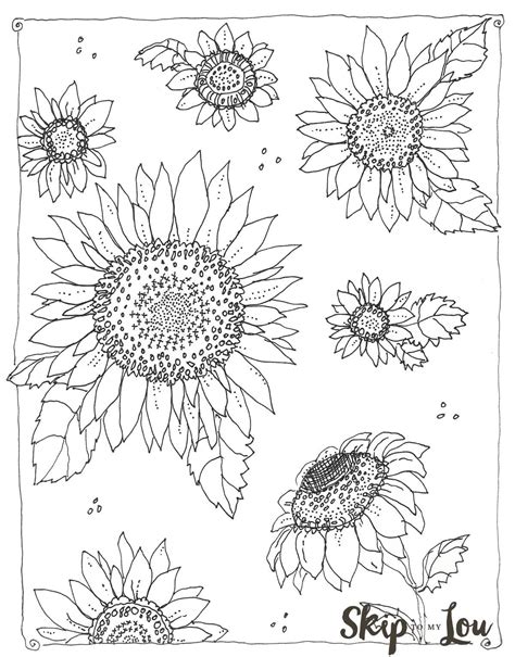 Ausmalbilder Sonnenblume 100 Kostenlose Malvorlagen