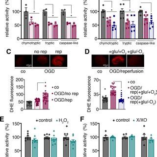 Tandems Of Ubiquitin Entities Can Be Utilized In Various Ubiquitin