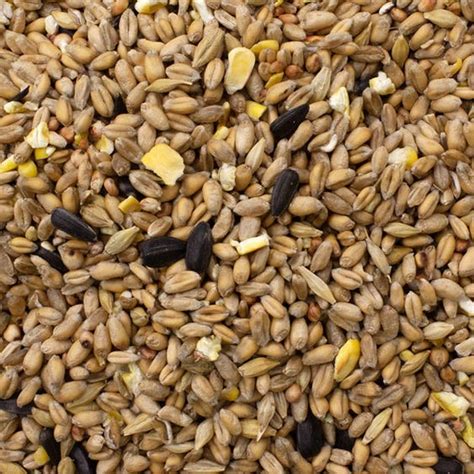 25kg Original Wild Bird Seed Mix only £14.49 | UK's Cheapest | Bargain ...