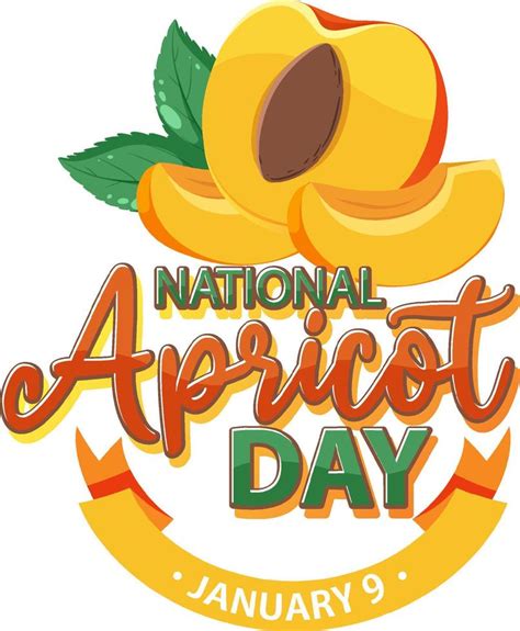 National apricot day icon 14073498 Vector Art at Vecteezy