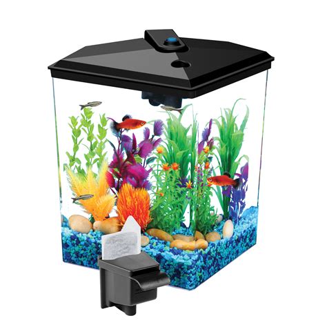 Aqua Culture 1 Gallon Aquarium Starter Kit With Led