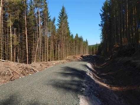 Forestry Track © Lairich Rig Geograph Britain And Ireland